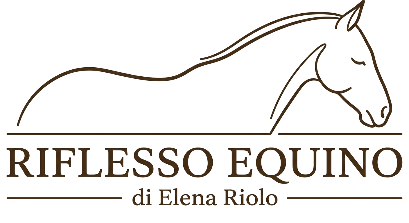 Riflesso Equino di Elena Riolo